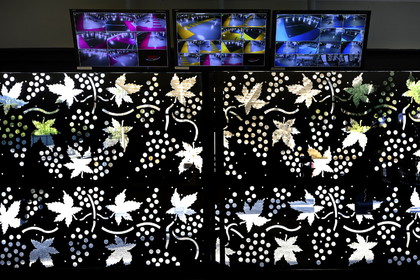 Parking des Mimosas, Cassis mars 2014.