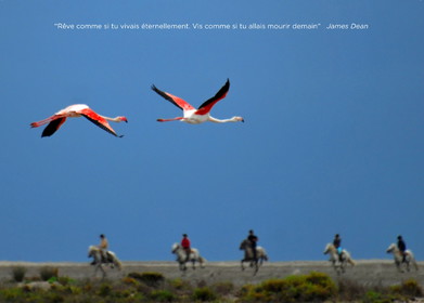 Digue à la mer, près du phare de la Gacholle 2006, extrait de la série Camargue