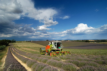 Le plateau de Valensole (04) pour le conseil régional Provence Alpes Cote d'Azur