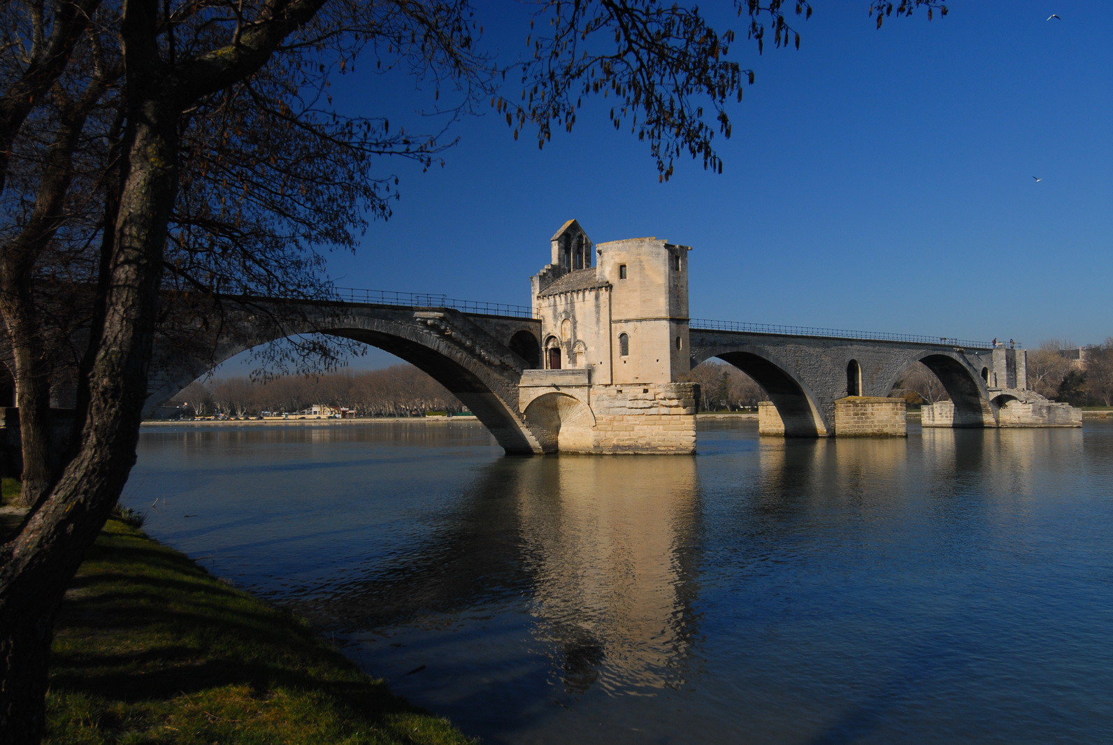 Le Rhone à hauteur d'Avignon(2009) pour le conseil régional Provence Alpes Cote d'Azur