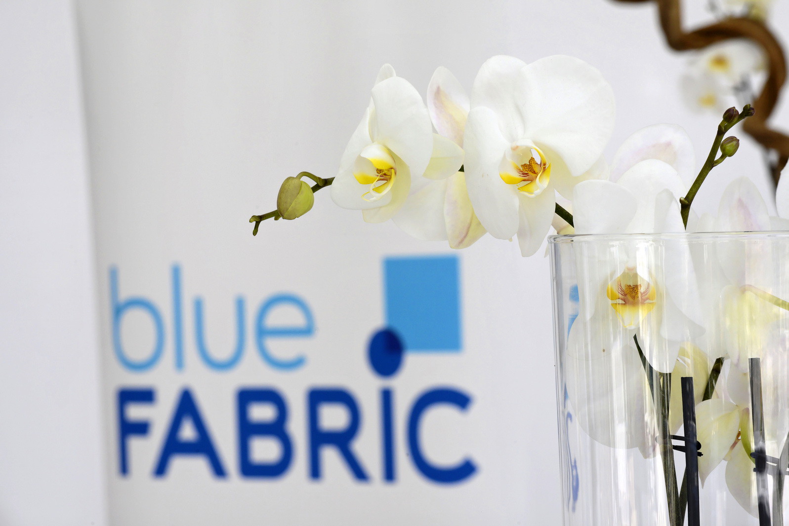 Lancement du programme Blue Fabric - Vinci Construction France, Cannes mars 2014