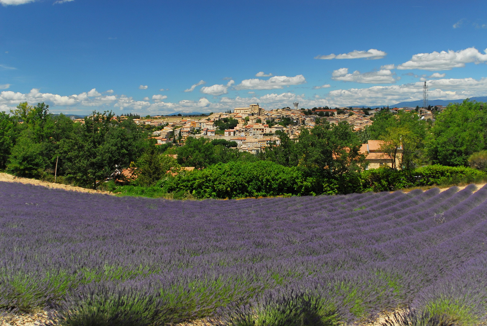 Le plateau de Valensole (04) pour le conseil régional Provence Alpes Cote d'Azur