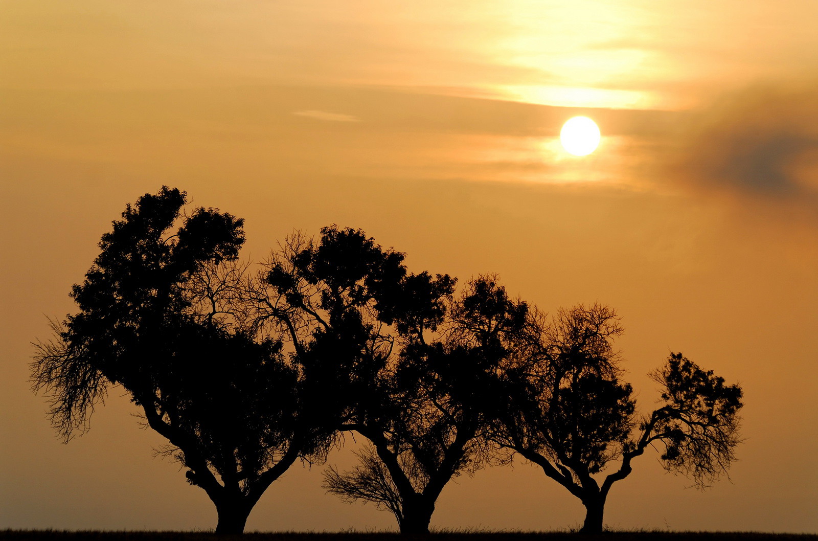 Le plateau de Valensole (04) pour le conseil régional Provence Alpes Cote d'Azur