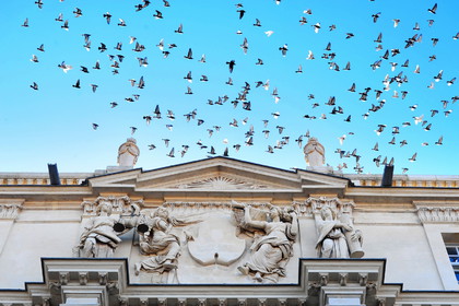 Mairie d'Arles, novembre 2009.
