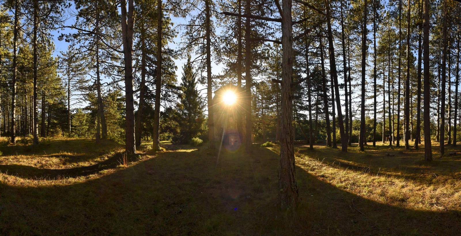 Prieuré de Saint-Jean-de-Balmes sur la commune de Veyreau (Aveyron) sur le Causse Noir pour le Parc National des Cévennes